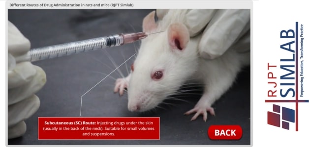 Different Routes of Drug Administration in rats and mice
