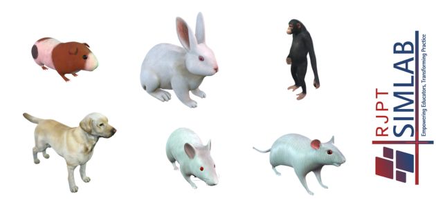 Study of Common Laboratory Animals