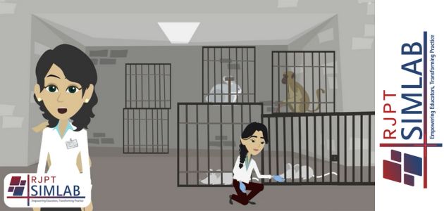 Ethical and Unethical ways to handle animals