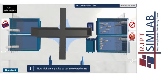 DEMO: Assessing Anti-Anxiety Effects through the Elevated Plus Maze in Mice